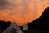 DSC_8558.jpg