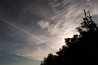 DSC_8763.jpg