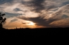 DSC_8817.jpg