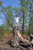 DSC_9013.JPG