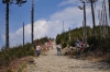 DSC_9185.JPG