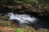 DSC_9242.JPG