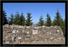DSC_9352.jpg