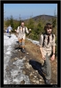 DSC_9371.jpg