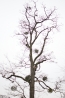 DSC_9378~0.jpg