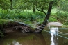 DSC_9381.jpg