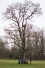 DSC_9382~0.jpg