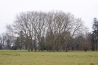 DSC_9410~1.jpg