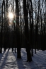 DSC_9641~0.jpg