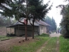 P5061140.JPG