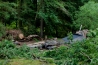 USA_0604.jpg