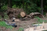 USA_0605.jpg