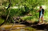 USA_0734.jpg