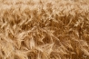 USA_0793.jpg