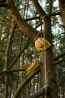 USA_0856.jpg