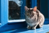 fotka_0055.jpg