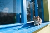fotka_0056.jpg