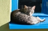 fotka_0057.jpg