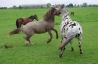 IMGP3326.jpg