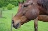 IMGP3341.jpg