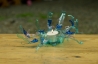 IMGP5402.jpg