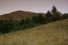 IMGP6086.jpg