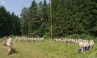 IMGP7340.jpg