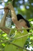 IMGP9075.jpg