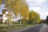 _IGP6345.JPG