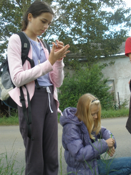 Klikněte pro zobrazení původního (velkého) obrázku
