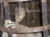 PA280283.JPG