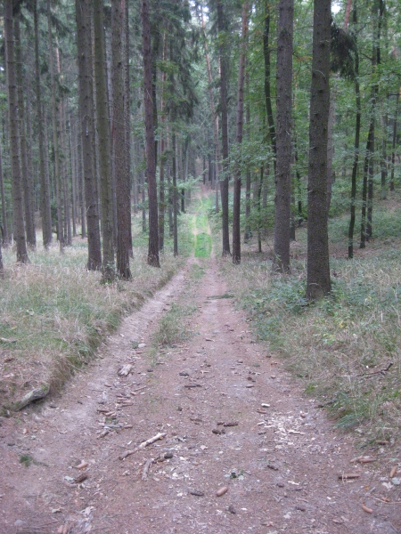 Klikněte pro zobrazení původního (velkého) obrázku
