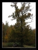 009-16-10_vylet_kopretin.jpg