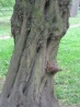 IMG_1254.JPG
