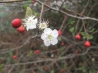 IMG_3446.JPG