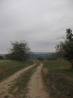 IMG_3451.JPG