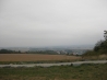 IMG_3482.JPG