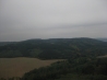 IMG_3524.JPG