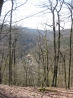 IMG_3648.JPG
