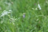 IMG_3672.jpg