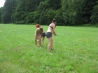 IMG_3925.JPG