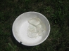 IMG_3927.JPG