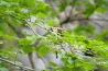 IMG_4212.jpg