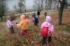 DSCF0232.JPG