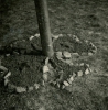 archiv_048.jpg