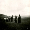 archiv_081.jpg