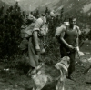 archiv_102.jpg