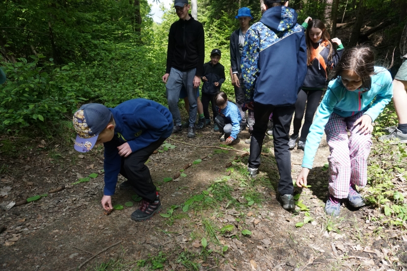 Klikněte pro zobrazení původního (velkého) obrázku