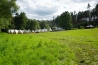 DSC00302.JPG