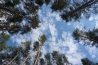 DSC01438.JPG
